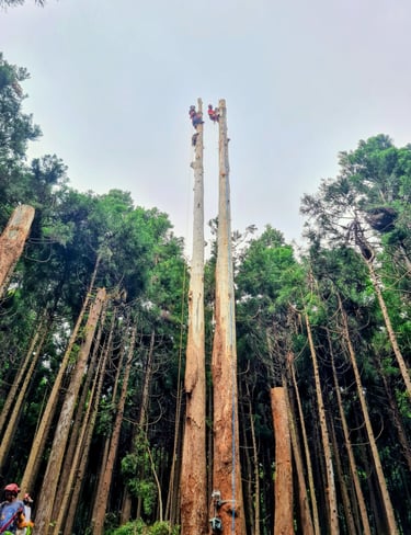 Participation à l'évaluation des jeunes passant la formation à la Réunion