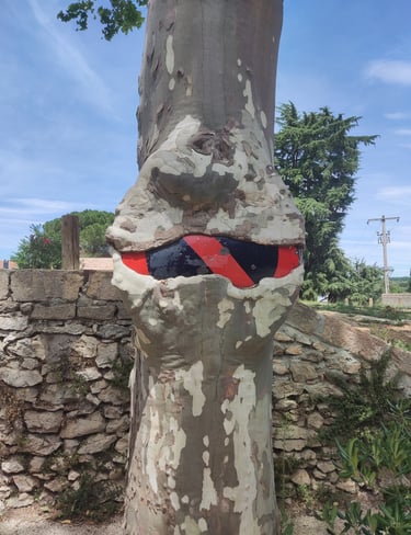 Résilience impressionnante d'un platane