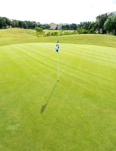 Golf Court Florida