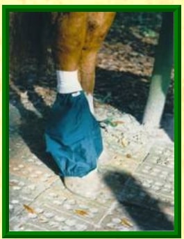 donkey sock