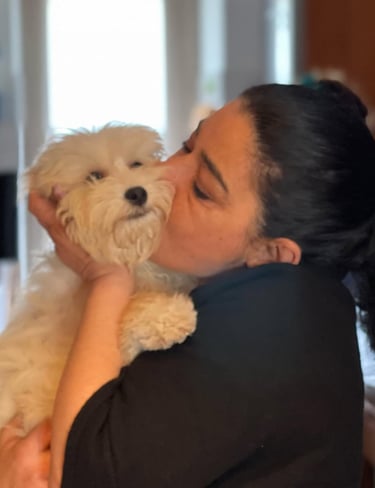 Maltipoo Snacks, Treats and Chews