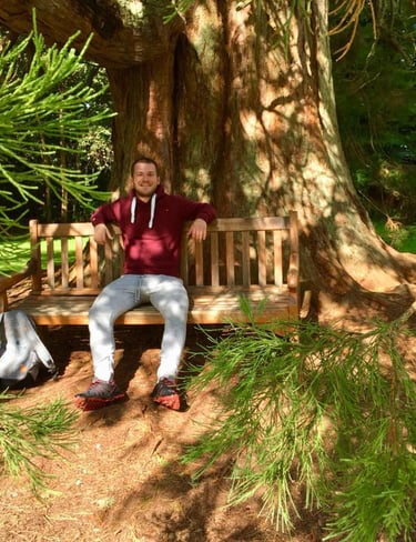scotland, giant pine tree, bench, me