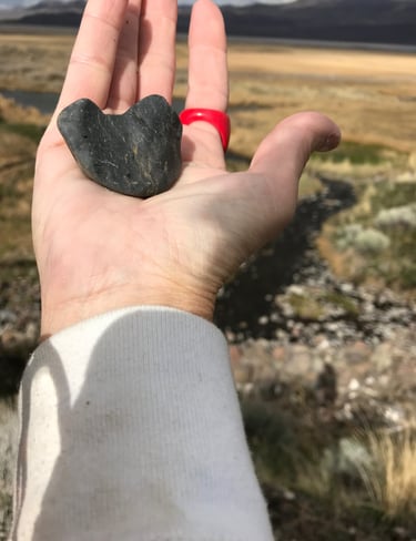 Surprise Valley Rocks