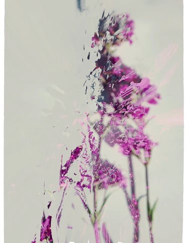 digital art, visual art, digital paintings, Joanna Wlaszyn