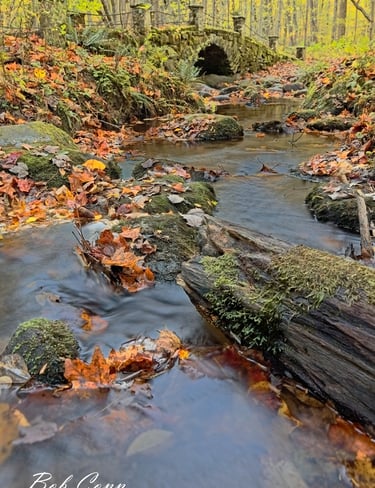 Stone Bridge | Great Smoky Mountains National Park