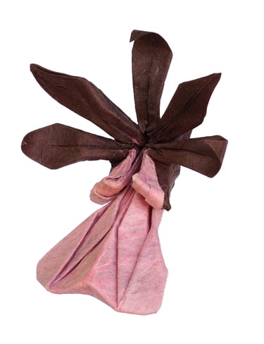 Encyclia cordigera_Cekouat León Origami