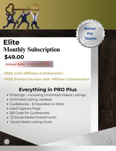 Elite Subscription for Adfinity Advertising Guidebooks
