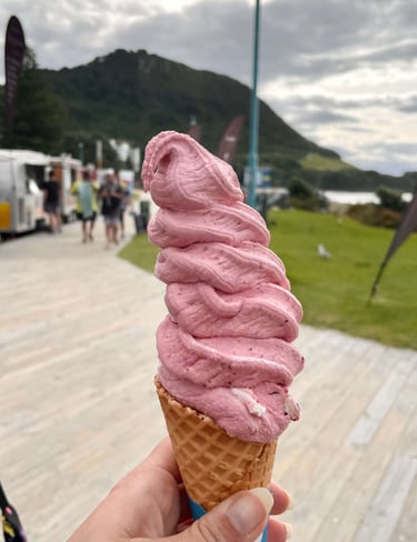 Helado de fruta natural de The Wave Café