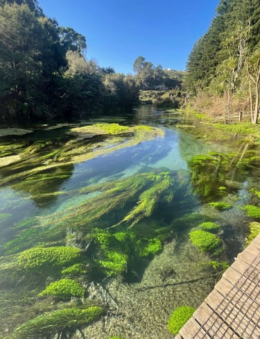 Agua cristalina en las Blue Springs de Nueva Zelanda
