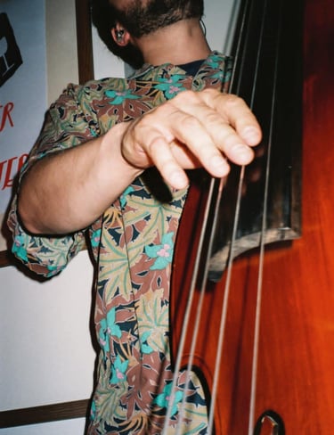 contrebasse qui est celle du groupe Garçon! qui propose chansons et rockToulouse Lot Périgord