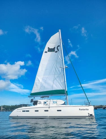 Panterita, TTT's off-grid conservation catamaran serving as a mobile base across the Caribbean