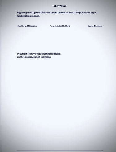 Oslo Police, Oslo Court, Zainab Abdulkarim - Zainab Ali Art, Paintings - Visual artist -Iraq,  Italy - Oslo- Norway