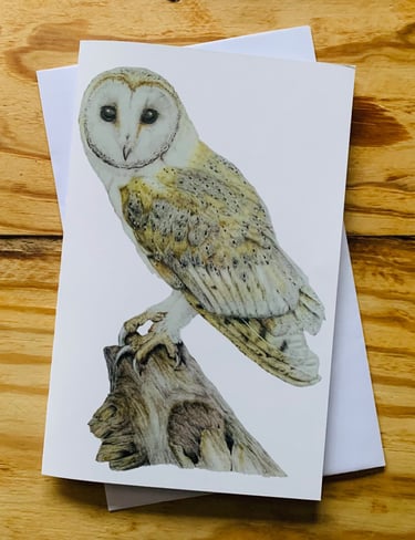Owl