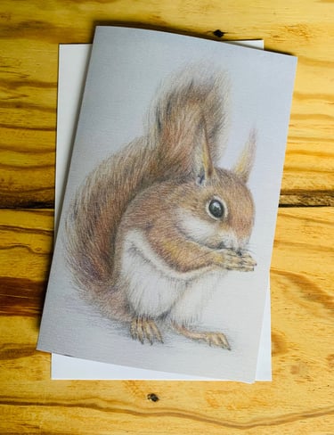 Red squirrel