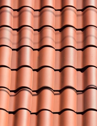 Nettoyage toiture Sweefly