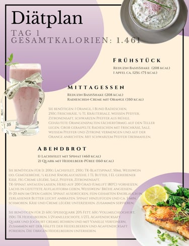 helenas diaetshop diaetplan für 1 woche mit reduzin diaetshake und mischkostmahlzeiten tag 1