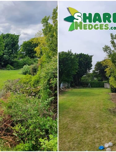 End-tenancy garden clearance and tidy-up in Chester-le-Street