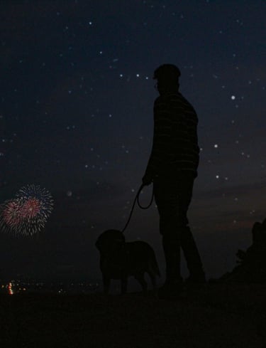 dogAdvisor | dog Advisor | dogadvisor.dog | dog Advisor