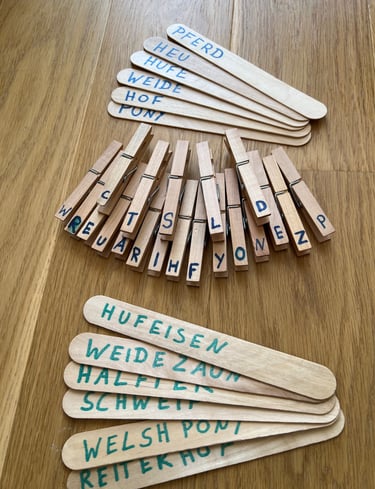 Educational word matching game with German horse-related horse terms on wooden sticks & clothespins.