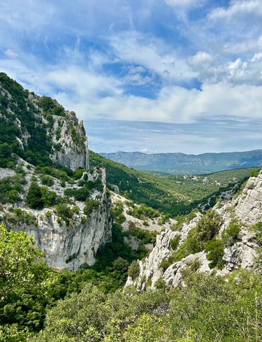 symbole d’élévation et de reconnexion à la grandeur de la nature.