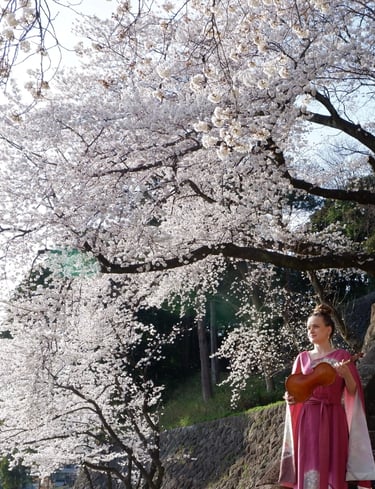 Violinist standing under a blooming cherry blossom tree, wearing a pink kimono remake dress and holding a violin in Japan