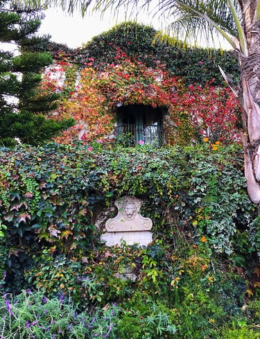 Two story Santa Barbara home covered in vines.