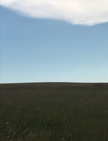 Fields Photograph by Lina Mikuzyte