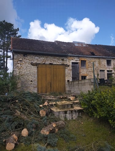 abattage délicat abre après