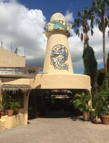 A must visit in Cabo San Lucas, Mexico...Cabo Wabo Cantina
