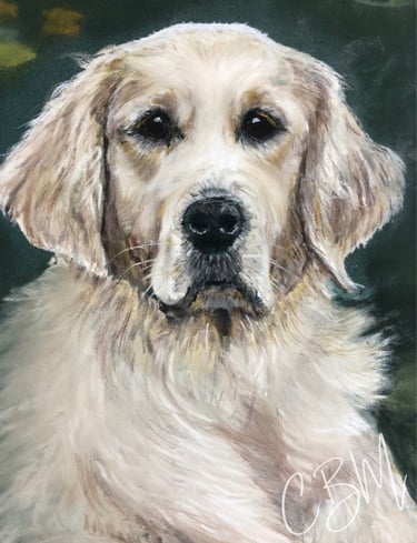 CBM Art Golden Retriever