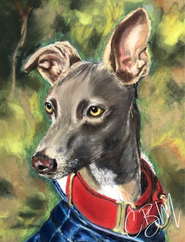 CBM Art dog in winter coat
