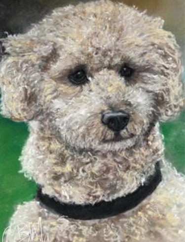 CBM Art Cockerpoo Chalk Pastel Artwork
