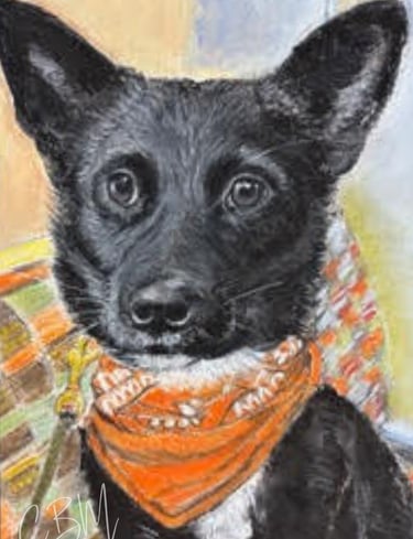 CBM Art Doris Chalk Pastel Dog Artwork