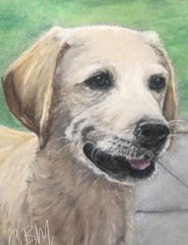 CBM Art_Portrait Labrador Chalk Pastel Art