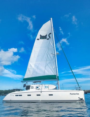 Panterita, le catamaran autonome de TTT qui sert de base itinérante dans les Caraïbes