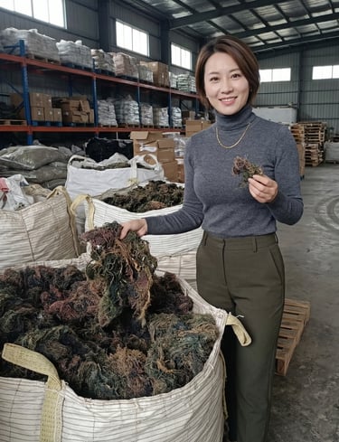 Dried Gracilaria seaweed 15% moisture and 3% impurity for agar-agar, Agriculture and Cosmetics