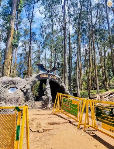 Spooky Guna Cave entry gate in Kodaikanal, surrounded by dense forest.
