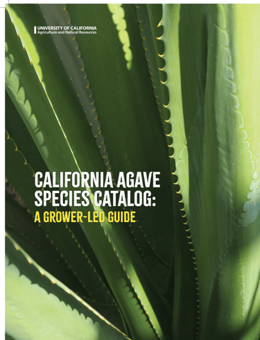 CALIFORNIA AGAVE SPECIES CATALOGUE