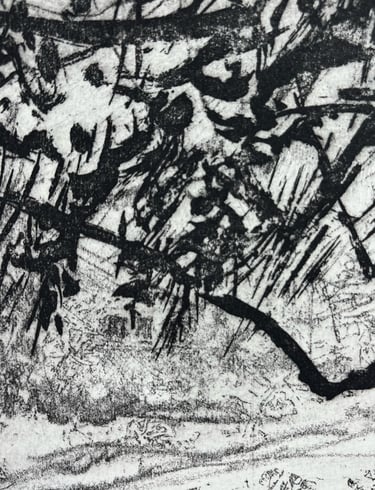 Detail of soft ground and sugar lift textures