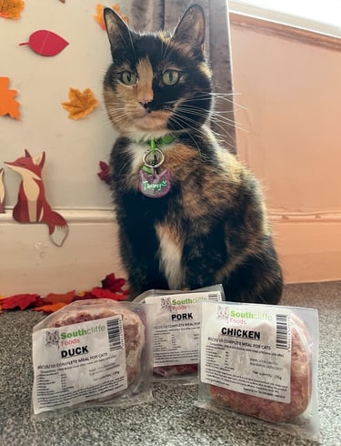 Tammy with three packs of complete raw food ordered from Kitty's Rawr Store