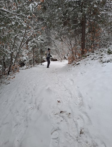 Finn's Footprints Utah Budget Travel Review
