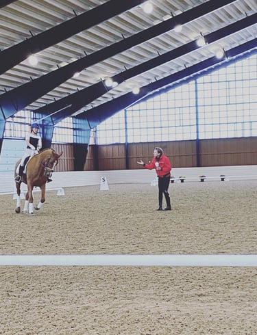 Lisa Wilcox teaching a clinic rider and their chestnut mare