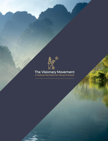 the visionary movement manifesto - front cover