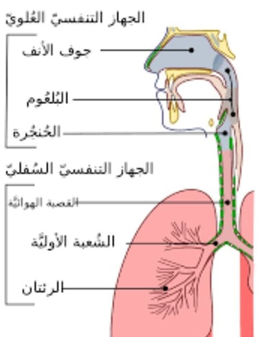 الحل الذهبى كرر بلا حساب