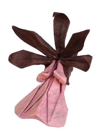 Encyclia cordigera_Cekouat León Origami