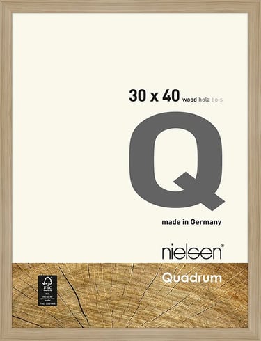 Nielsen Quadrum