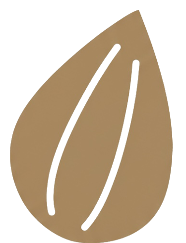 Brown seed SEED Early Childhood Logo