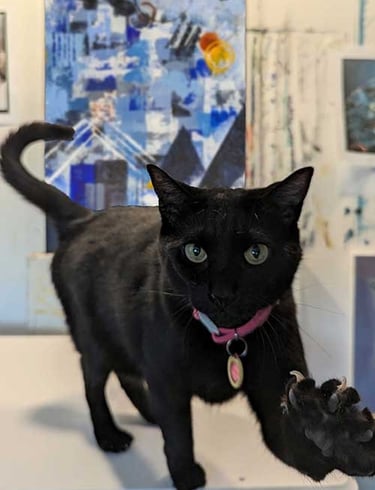 Kenzi, a black cat wearing a pink collar and tag, with front paw extended, in the artist's studio