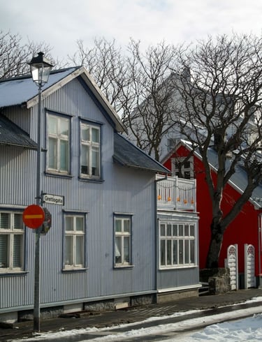 reykjavik-casetta-grigia