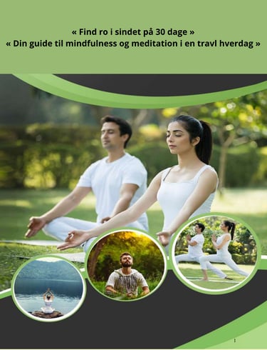 Find ro, energi og balance på 30 dage med mindfulness-meditation. Praktisk dansk guide til et sunder